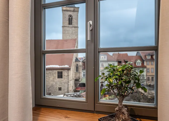 Nashi エアフルト